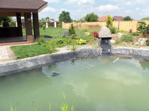 искусственный водоем