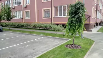 Озеленение новостройки ул. Волошкова «Уютный квартал»